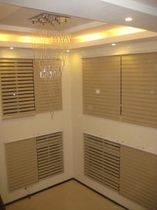 DS Windows & Walls Combi Blinds