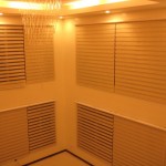 Combi Blinds / Duo Shade